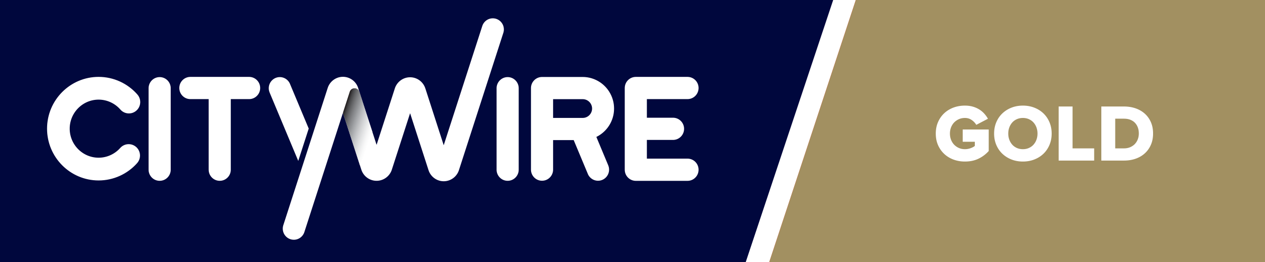 Citywire Group Rating Gold für Aktien Deutschland